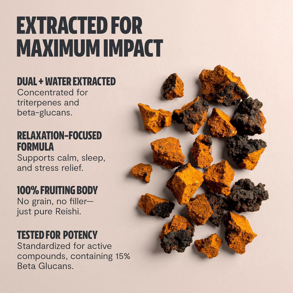 FreshCap Mushrooms Chaga Mushrooms Capsules 14,000mg - Mushroom Extract Antioxidants Supplement, Herbal Supplements, Ayurveda Nootropic Immunity Supplements (120 Capsules)