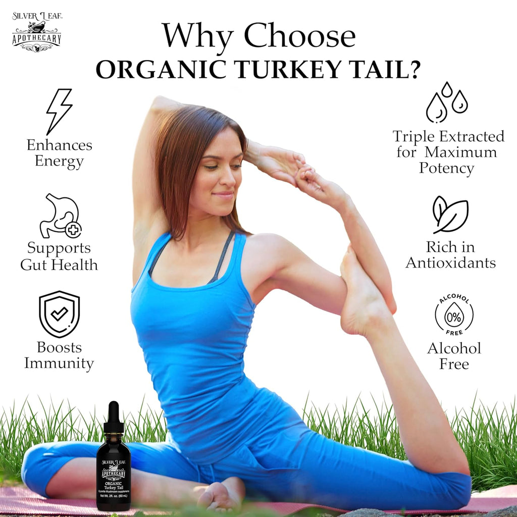 Silverleaf Apothecary Organic Triple-Extracted Turkey Tail Tincture Mushroom Supplement for Immune Support, Gastrointestinal & Gut Microbiome Wellness - 2 Fl Oz (60ml)