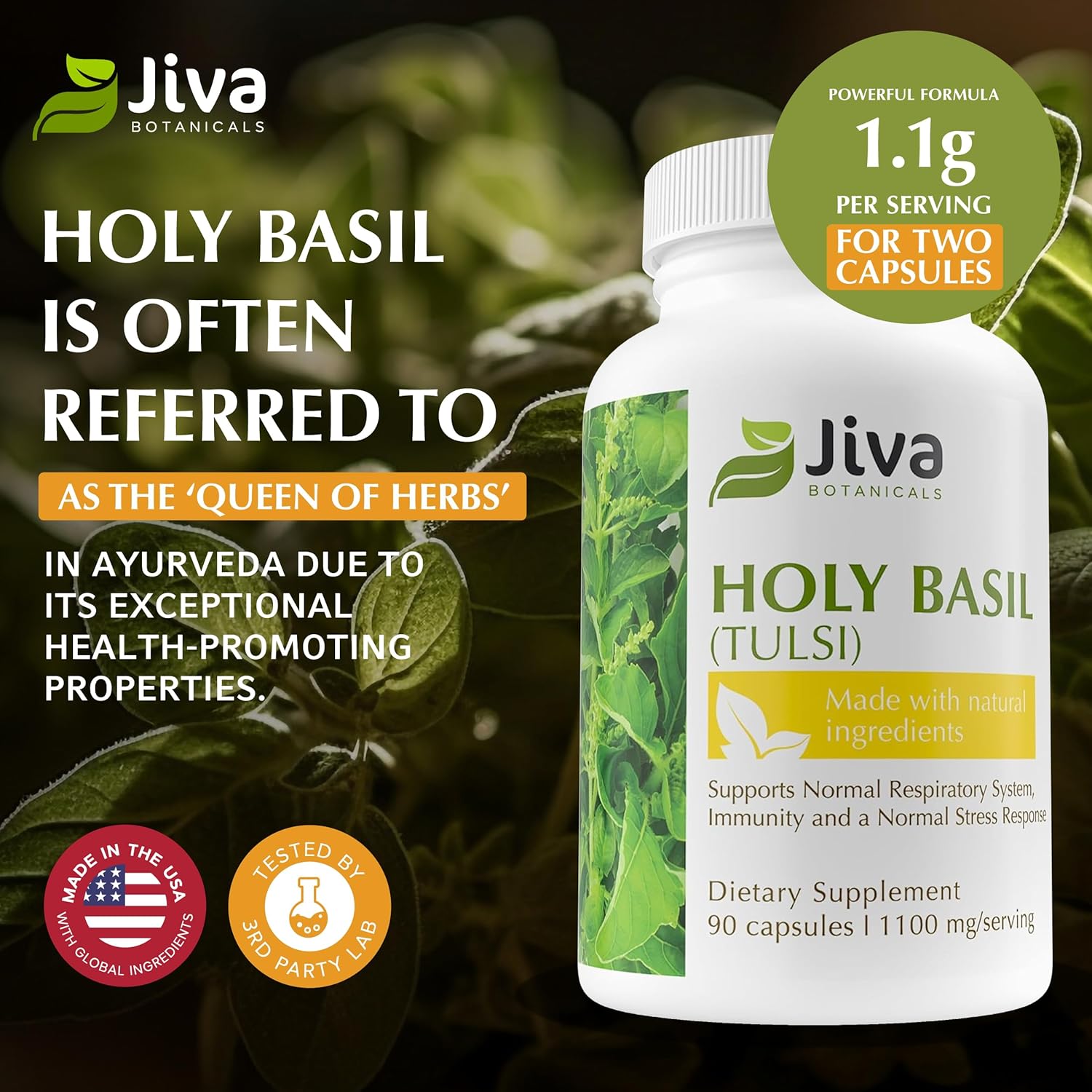 Jiva Botanicals Holy Basil Capsules - Premium Holy Basil Extract with Tulsi Powder - Ayurvedic Herb Alternative to Tincture -90 Vegan Capsules