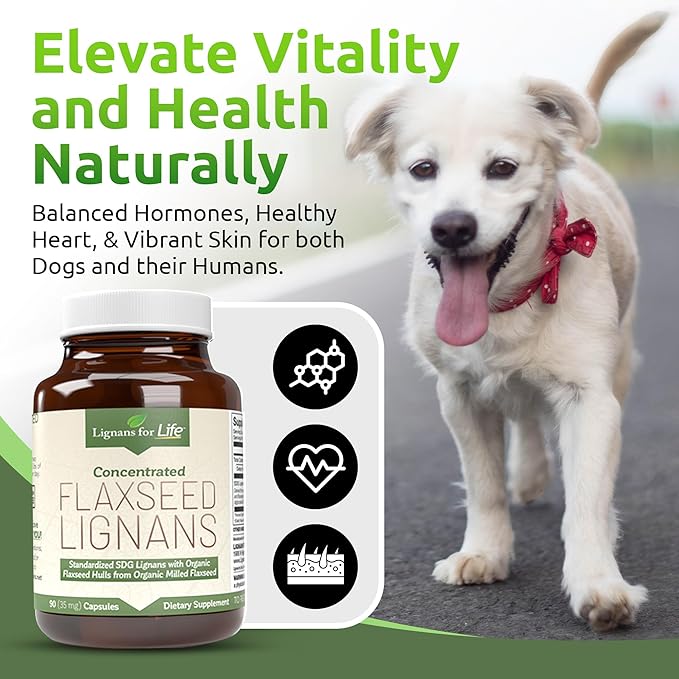 Lignans for Life Flaxseed Lignans for Dogs & People + SDG - Omega 3 Fatty Acids, High Fiber Antioxidants - Improve Shiny Coat, Digestive & Heart Health for Dogs, 35mg, 90 Flaxseed Capsules, 1 Pack