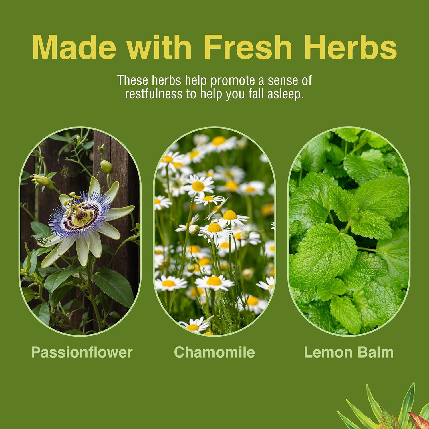 HERBS ETC. Deep Sleep, 1 FZ