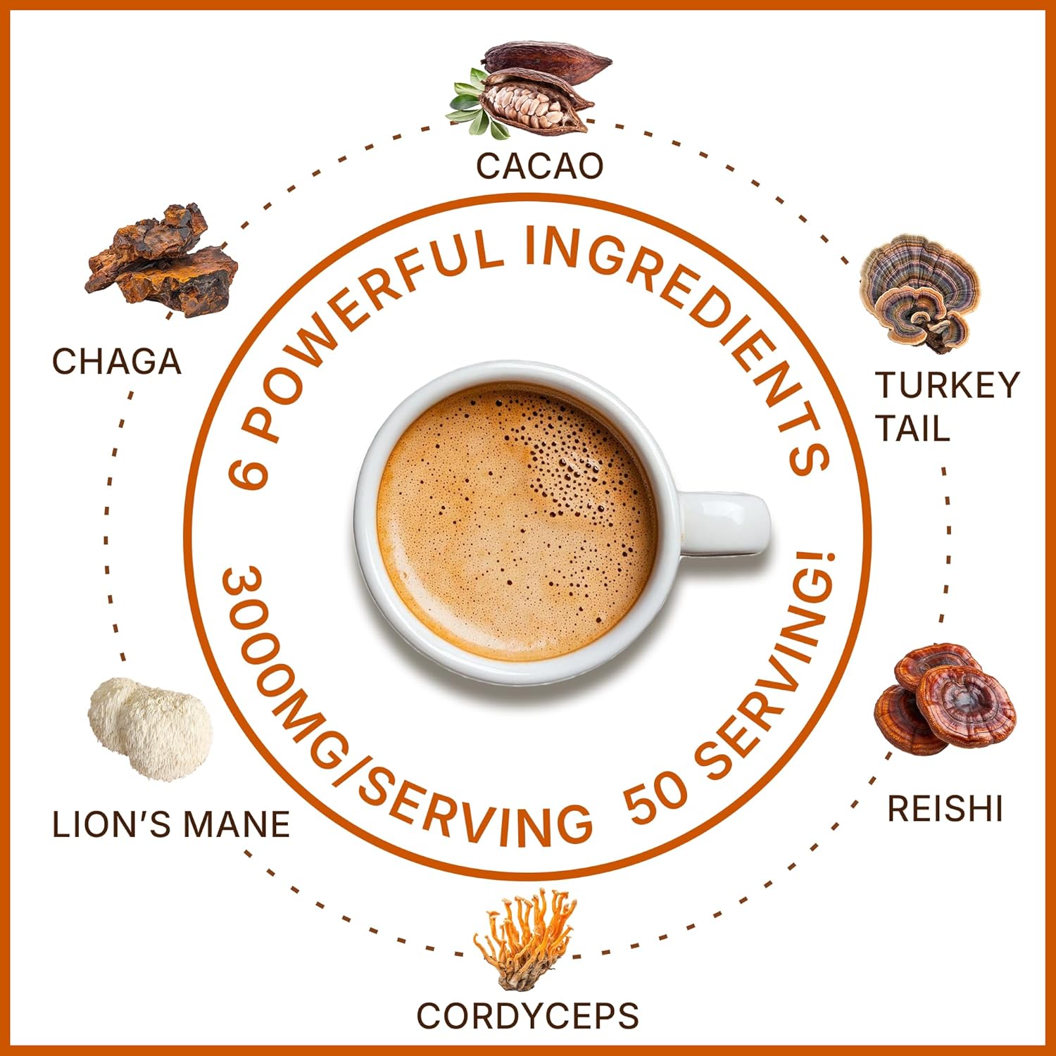 MegaPlants Cacao Magic (50 Servings) | Superfood 5 Mushroom Blend | Lions Mane, Reishi, Chaga, Cordyceps, Turkey Tail | Smoothie, Hot Chocolate, Coffee Alternative
