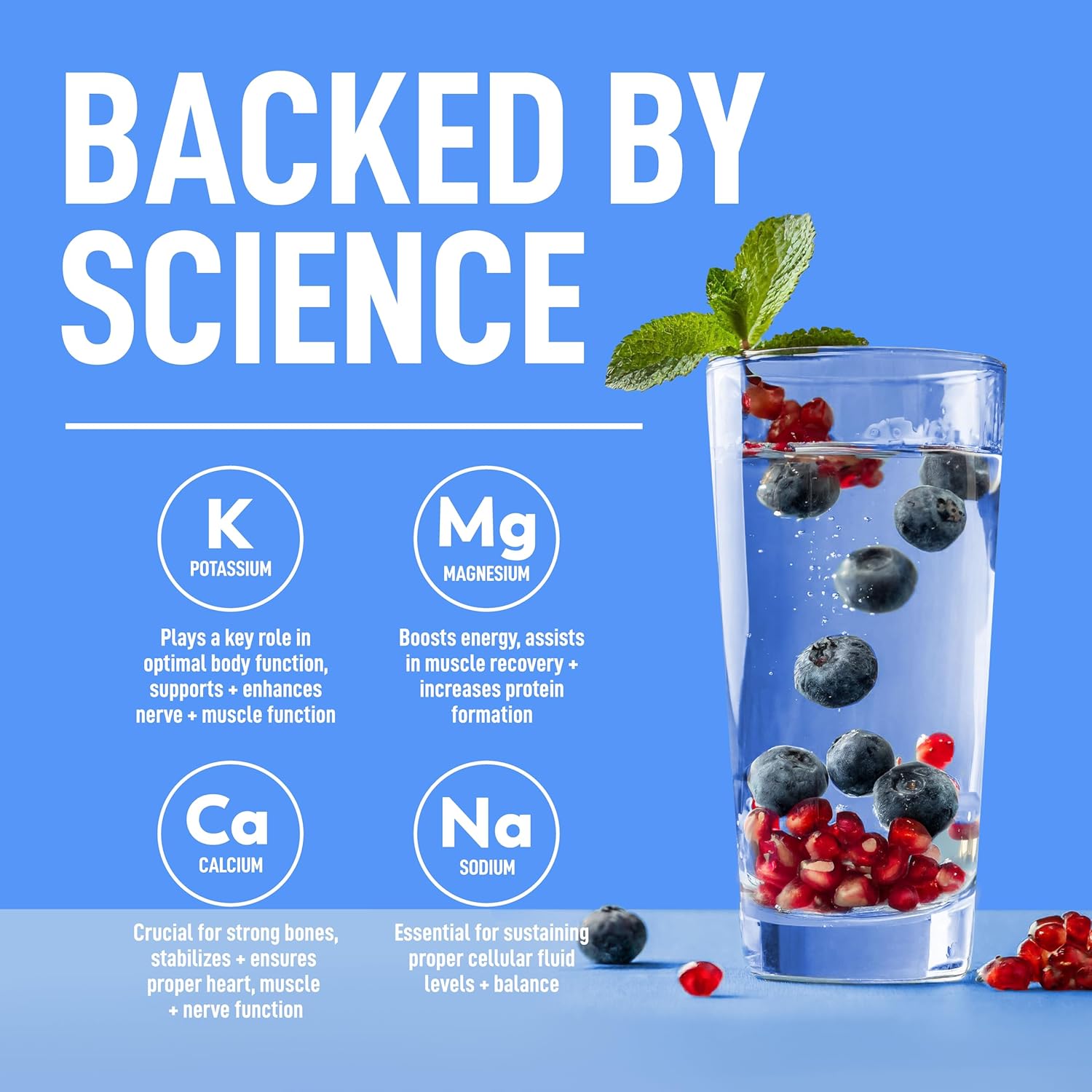 Keppi Electrolytes Powder – Blueberry Pomegranate Flavor – No Sugar Hydration Supplement with Potassium, Magnesium, Sodium – 50 Servings – Keto, Vegan, Fasting-Friendly, Zero Calorie Electrolyte Drink