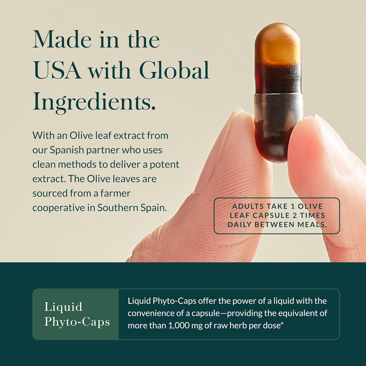 Gaia Herbs Olive Leaf - Traditional Immune Health Support - Immune System Supplement with Olive Leaf Extract and Oleuropein - 60 Vegan Liquid Phyto-Caps