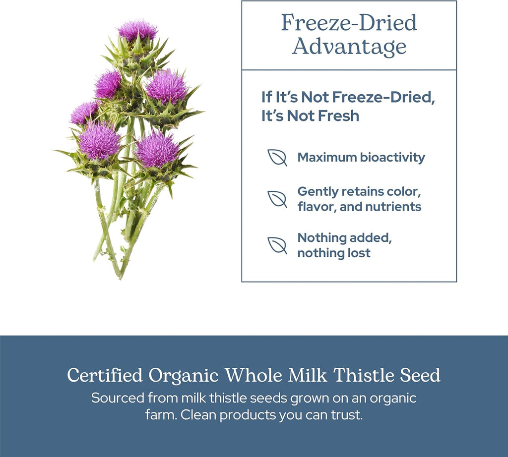 Eclectic Herb - Premium Freeze Dried Milk Thistle Capsules | Dietary Supplement | Liver Support, Detox, Cleanse + Maintain | Natural, Non-GMO, Vegan (120 CT | 600 mg)