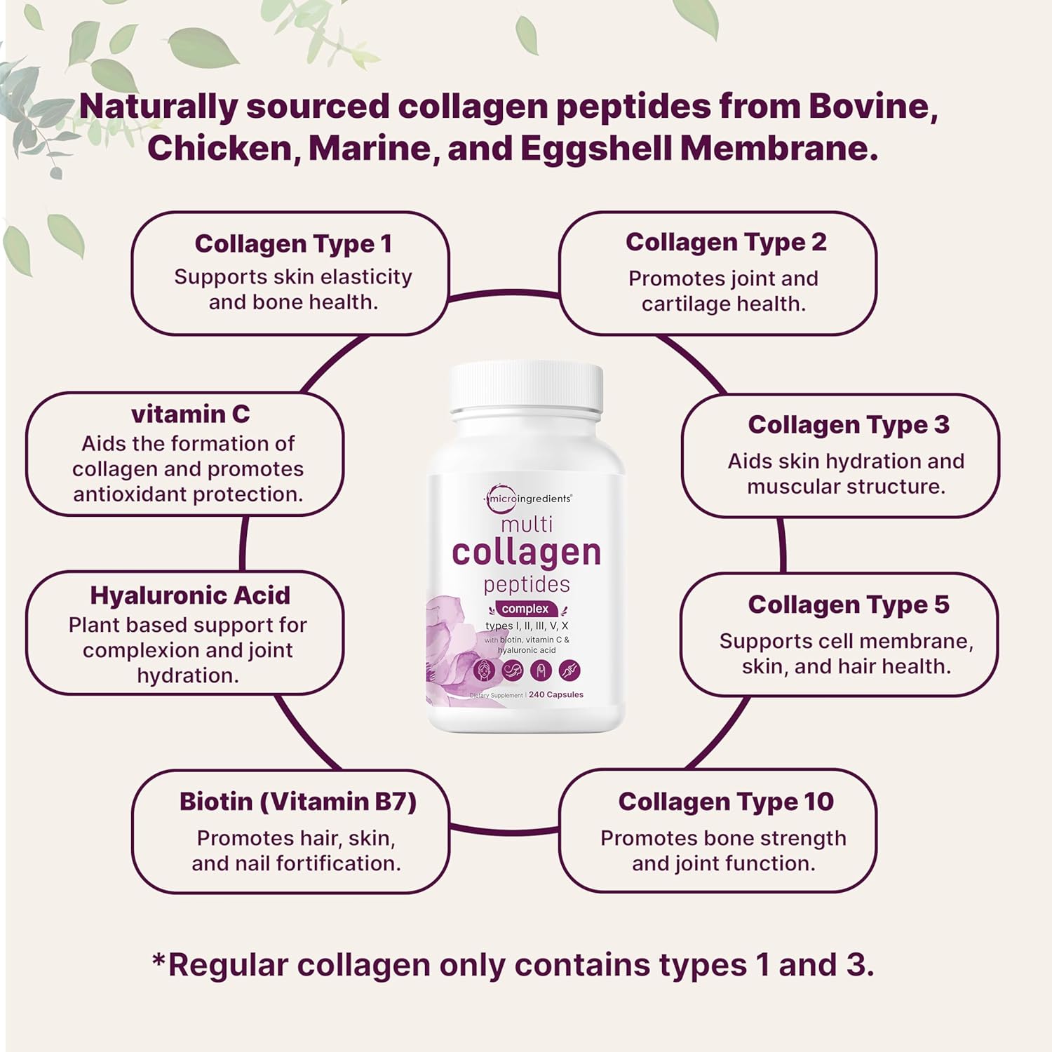 Micro Ingredients Multi Collagen Pills for Women & Men, 240 Capsules | Type I, II, III, V, X | Hydrolyzed Peptides with Biotin, Hyaluronic Acid, & Fat Soluble Vitamin C Complex | Non-GMO, Filler Free