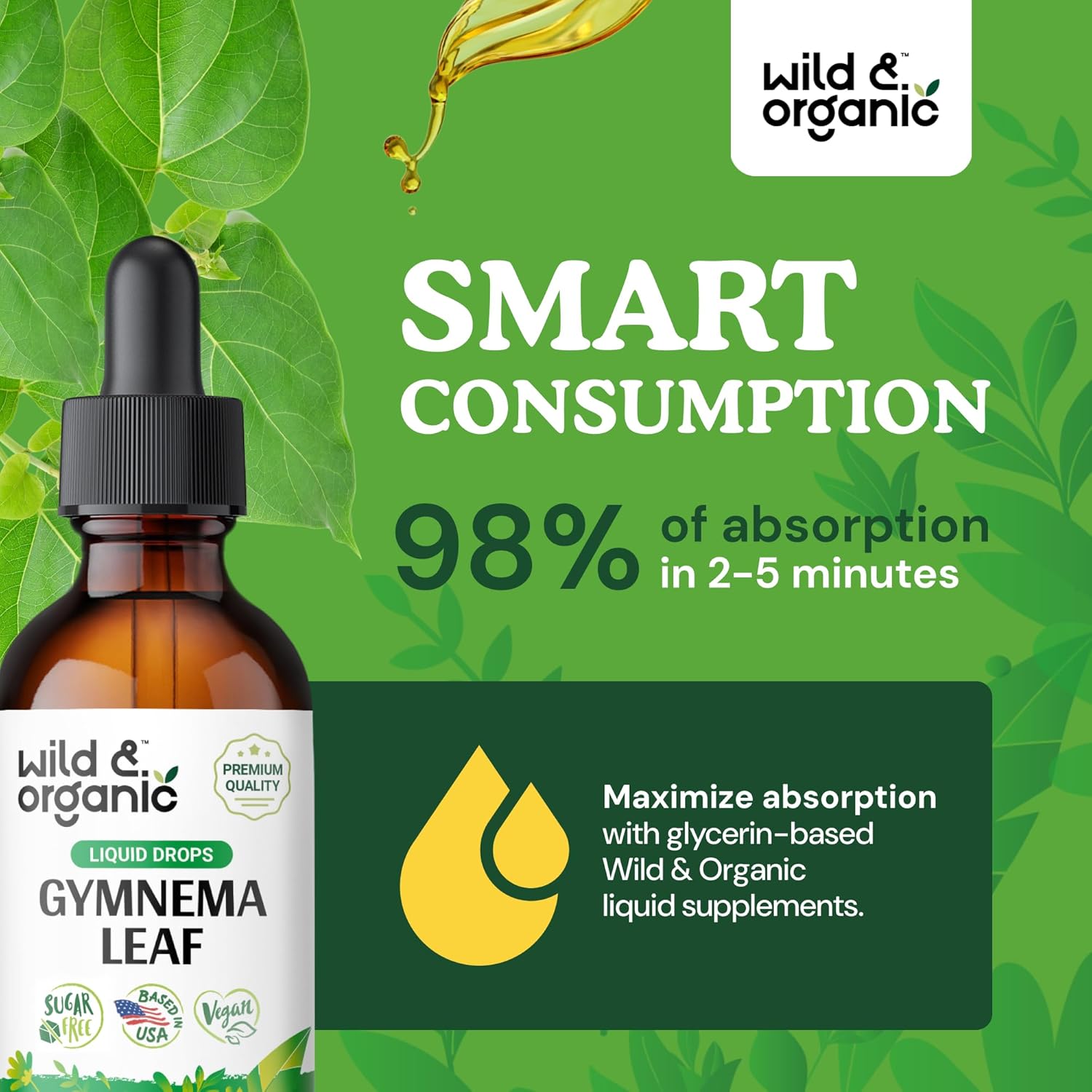 Wild & Organic Gymnema Sylvestre Extract Drops - Sugar-Free Gymnema Supplement for Overall Support - Gurmar Leaf Extract Tincture - Vegan, Alcohol-Free Liquid Drops - 2 fl oz