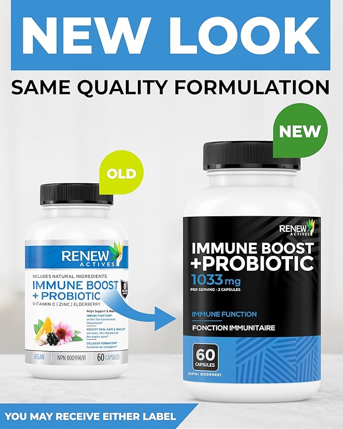 RENEW ACTIVES Antioxidant – Elderberry, Probiotics, Zinc, Vitamin C & Organic Turmeric 700MG per 2 Capsules – For Immune Function, Collagen Formation, & Overall Wellness – Made in Canada - 60 Capsules