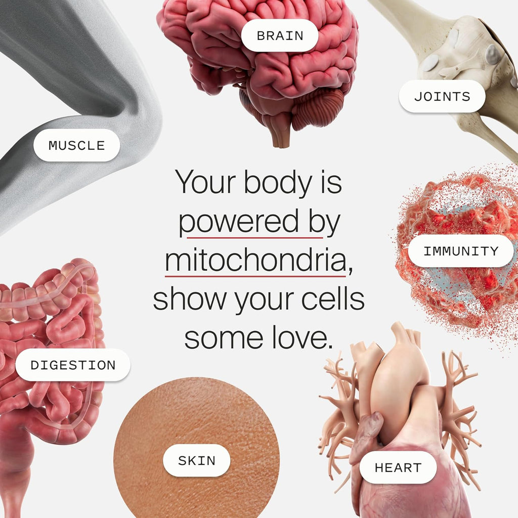 Timeline Mitopure Urolithin A Supplement Softgels - Clinically Proven Support for Healthy Aging and Cellular Renewal - Mitoceutical for Muscle Support and Longevity