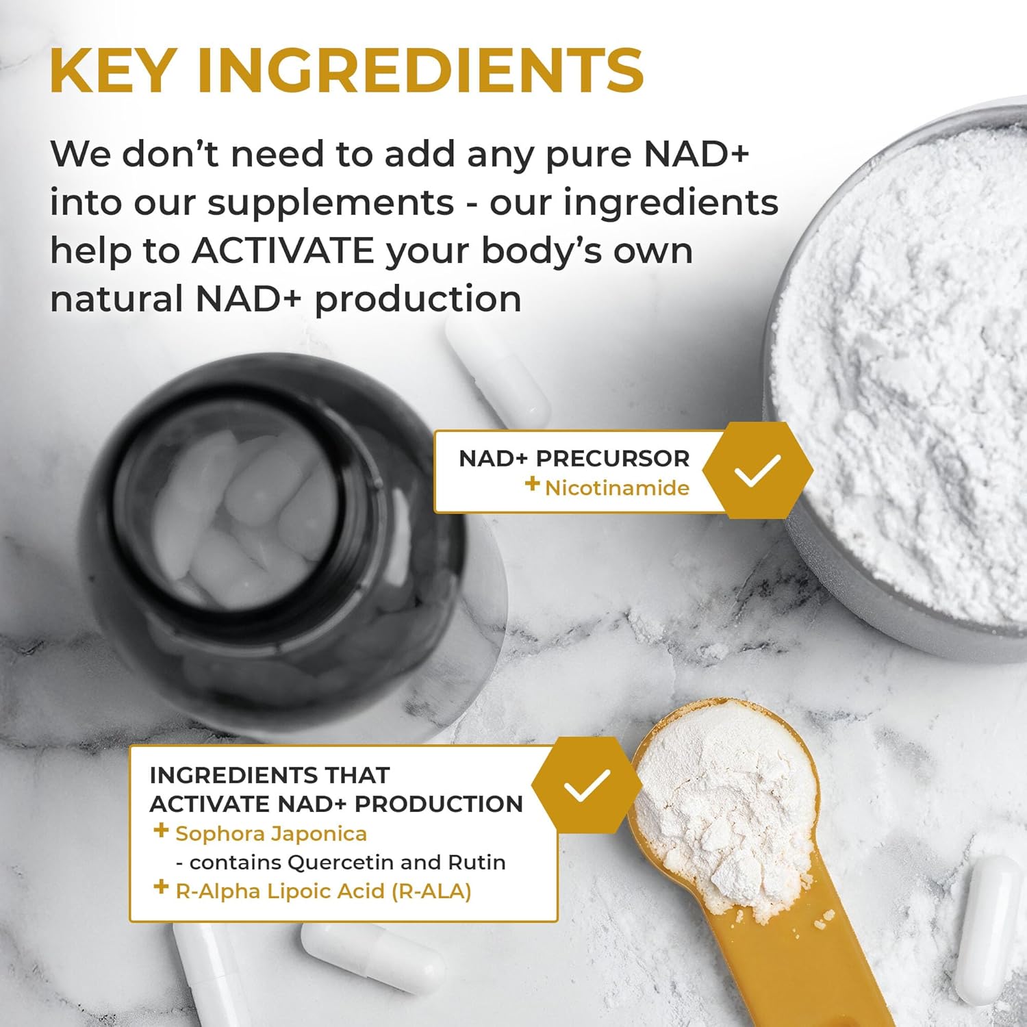 Nuchido Time+ NAD Supplement for Men & Women - Advanced Formula for Healthy Aging, Energy, Focus, Cellular Health & Longevity - Nicotinamide, Alpha Lipoic Acid, Quercetin - 90 Capsules