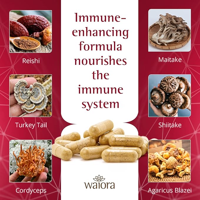 Waiora MegaDefense Mushroom Capsules for Daily Wellness, 6 Mushroom Supplement: Reishi, Turkey Tail, Cordyceps, Maitake, Agaricus & Shiitake, Non-GMO (2 Bott / 60 Veggie Cap serv)