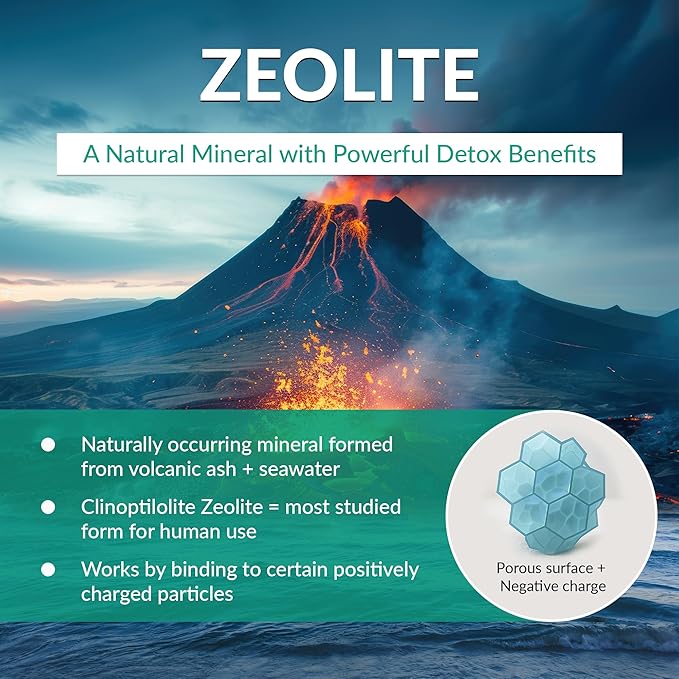 Organic Excellence Zeolite Clinoptilolite Powder – Pure Micronized Mineral Supplement – Supports Gut Health, Cleansing Support & Internal Balance – Non-GMO, Vegan – 500 Servings