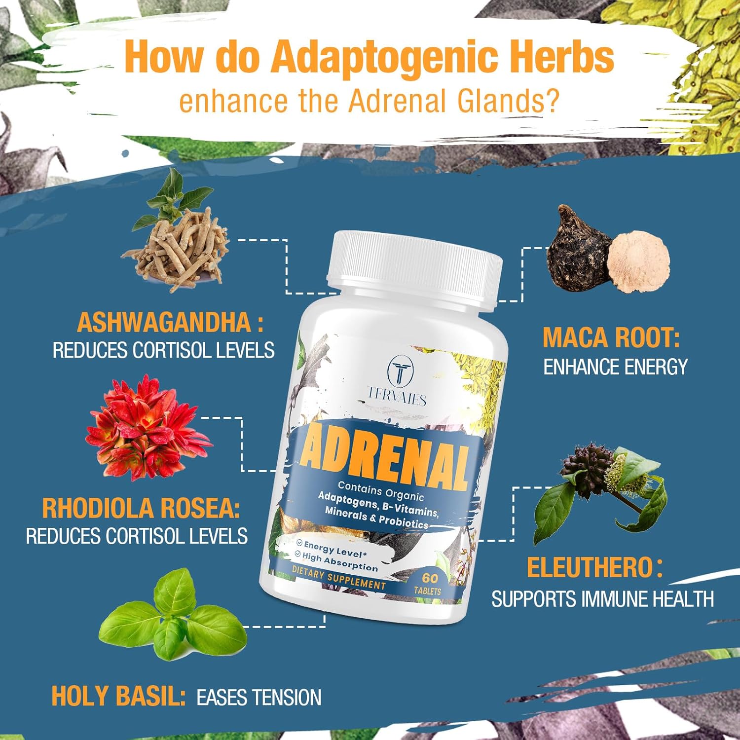 Adrenal Support Adaptogens Herbs Supplements - Cortisol Supplement with Rhodiola Rosea, Ashwagandha, Holy Basil and Eleuthero-Mood and Energy Support for Women & Men-Non-GMO, 60 Vegan Tablets