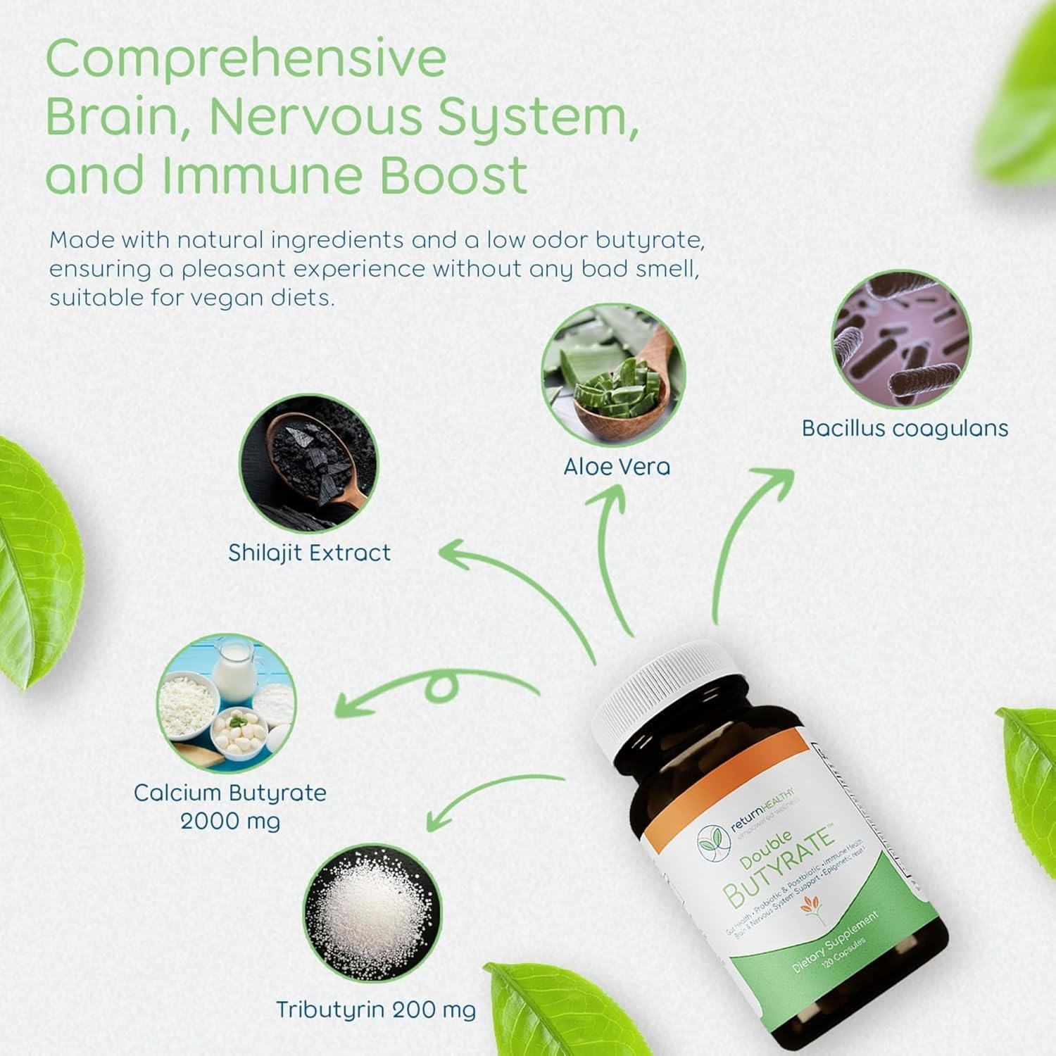 Double Butyrate Gut Health Supplement|Probiotic & Postbiotic Digestive Supplements for Gut Support|Enhances Immune, Brain, & Nervous System Function|Odor-Free Formula | 120 caps, 3 Pack