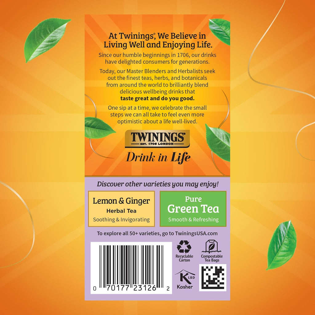 Twinings Wild Berries Herbal Tea Individually Wrapped Bags, 20 Count (Pack of 2), Full-Flavoured, Naturally Caffeine-Free, Enjoy Hot or Iced, 20 Teabags