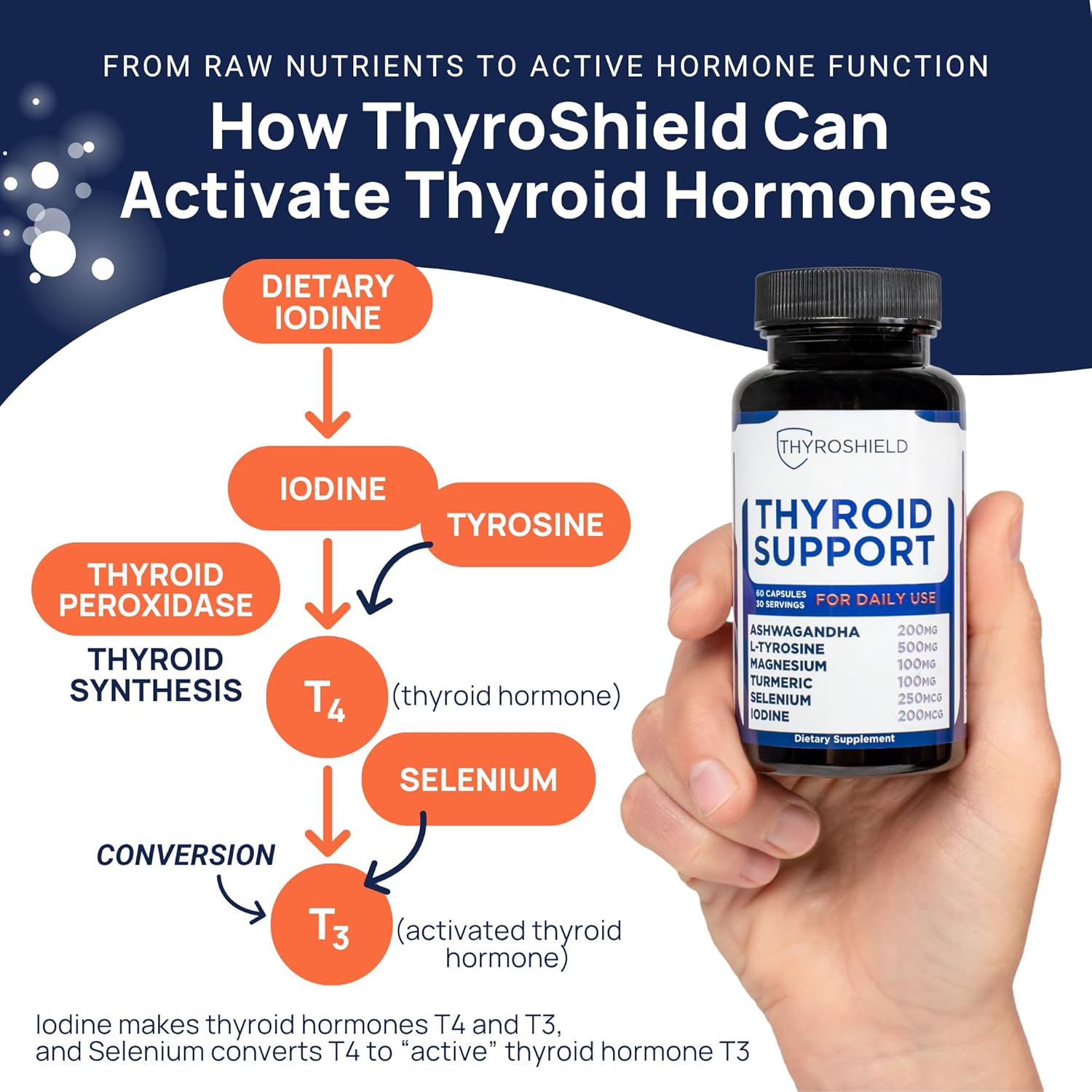 Thyroid Support, Pure Complex with Iodine, Ashwagandha, L-Tyrosine, Selenium, Thyroid Supplement for Women & Men, Energy, Hormone & Metabolism Support, cGMP, CoA Verified - 60 Capsules