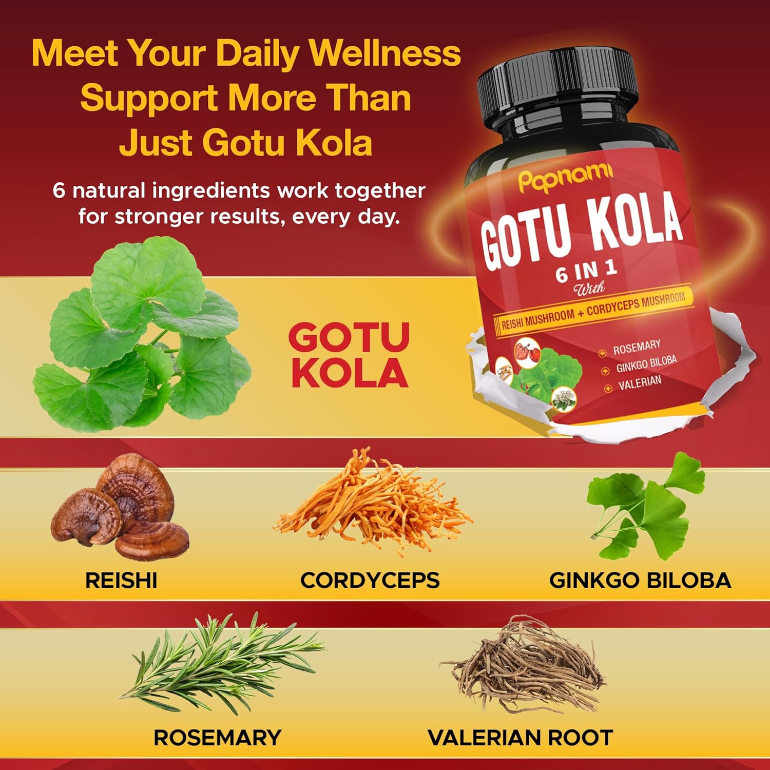 Organic Gotu Kola Extract Capsules with Reishi, Cordyceps, Rosemary, Gingko Biloba & Valerian Root - 90 Counts for 3 Months - Supports Brain, Immunity, Skin & Heart Health