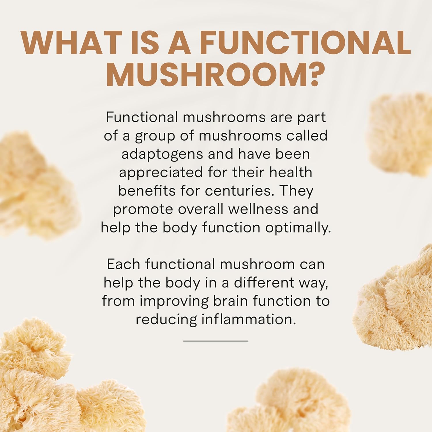 Charlotte's Web Focus Support Mushroom Gummies for Focus and Energy w/Lion’s Mane, Natural Cognitive Support Lions Mane Gummies for Adults — Tangerine Flavor (30 Servings)