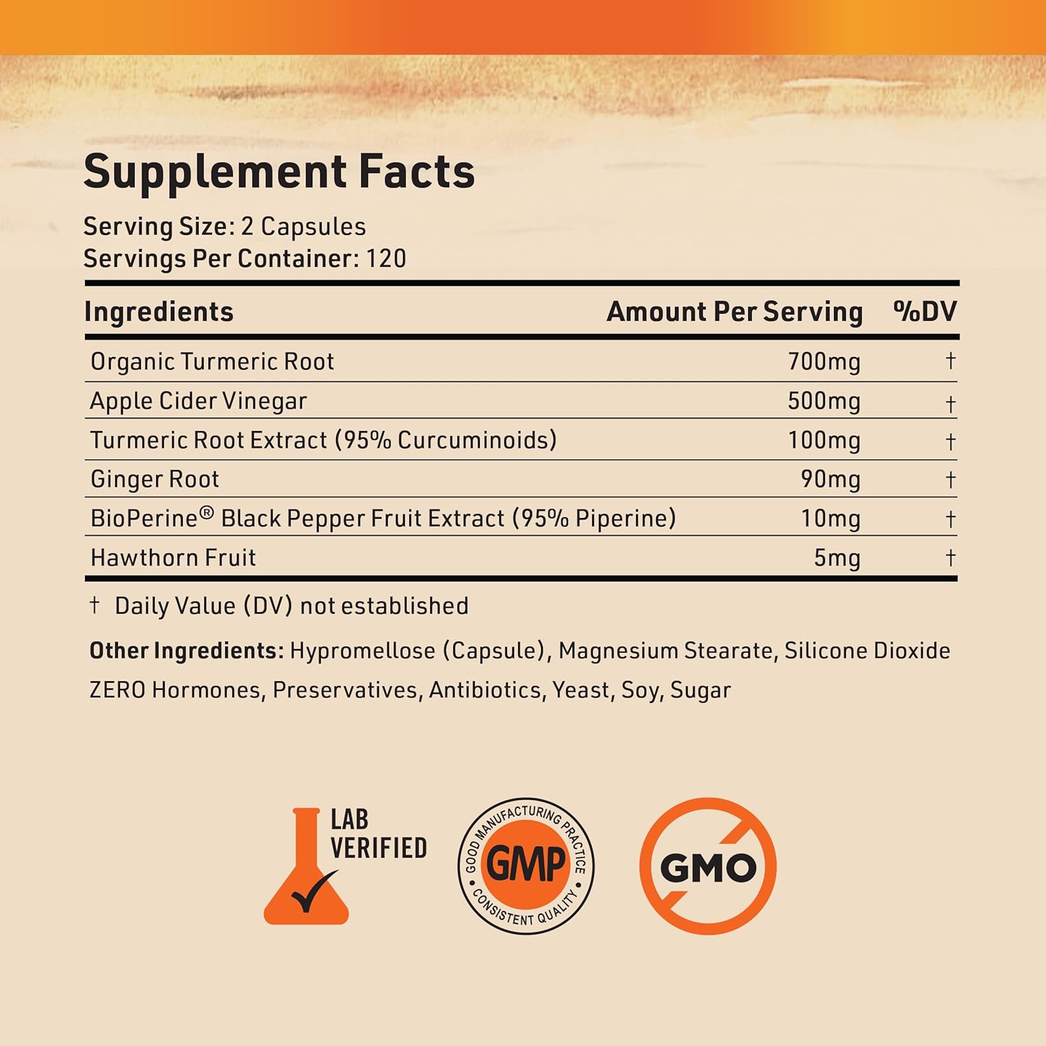 Nature's Base Turmeric and Ginger Supplement - with Curcumin, Apple Cider Vinegar & BioPerine Black Pepper Extract - 95% Curcuminoids - 240 Capsules