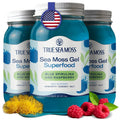 TrueSeaMoss Sea Moss Gel – Made in USA – Wildcrafted Seamoss, Fresh Fruits & Sea Vegetables – Blue Spirulina, Pack of 3 (Labels may Vary)