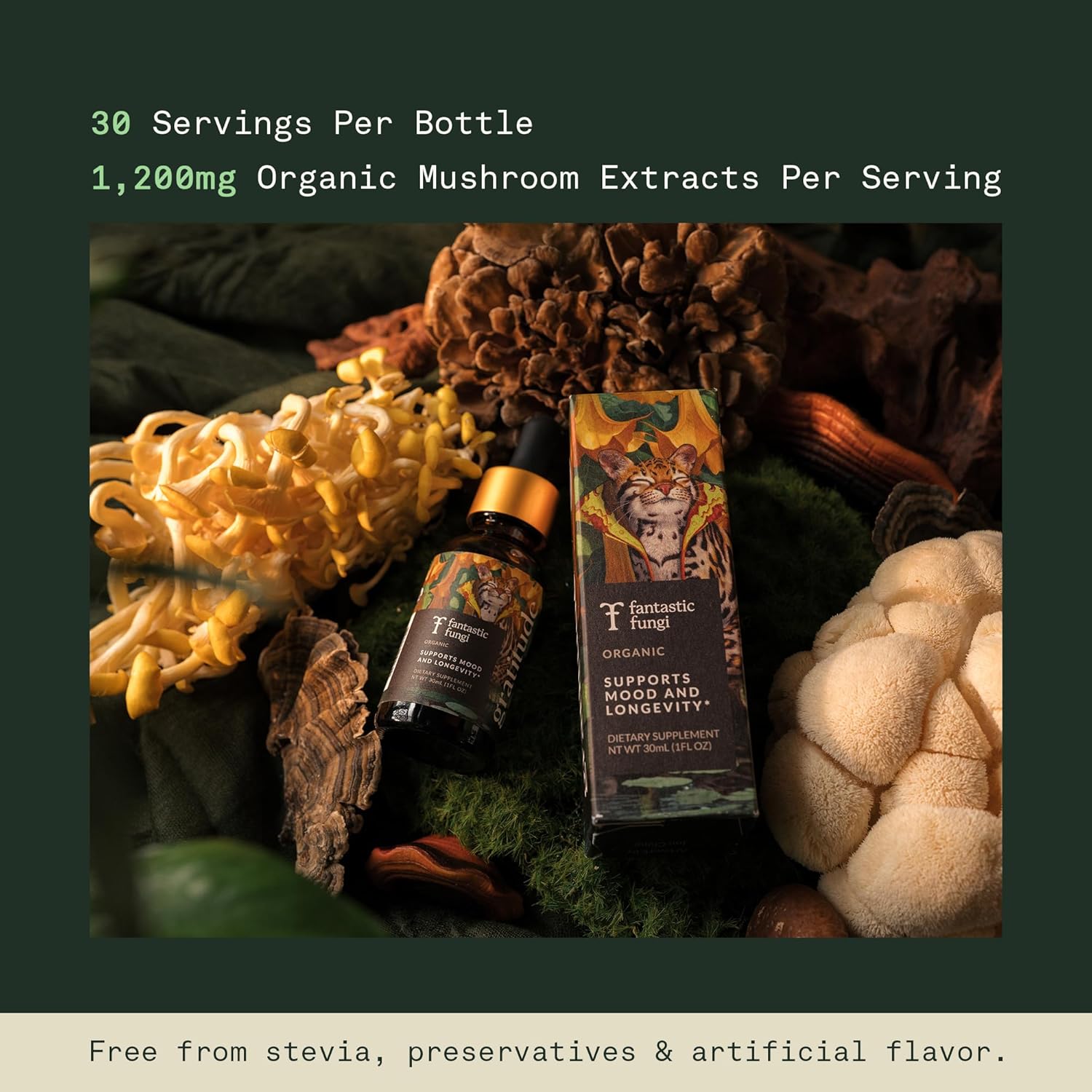 Fantastic Fungi Mushroom Extract - 8-in-1 Organic Complex Mushroom Supplement with Cordyceps, Reishi, Lion’s Mane, Chaga, Turkey Tail, Shiitake, Maitake & Tremella - Adaptogen Liquid Tincture, 1 fl oz