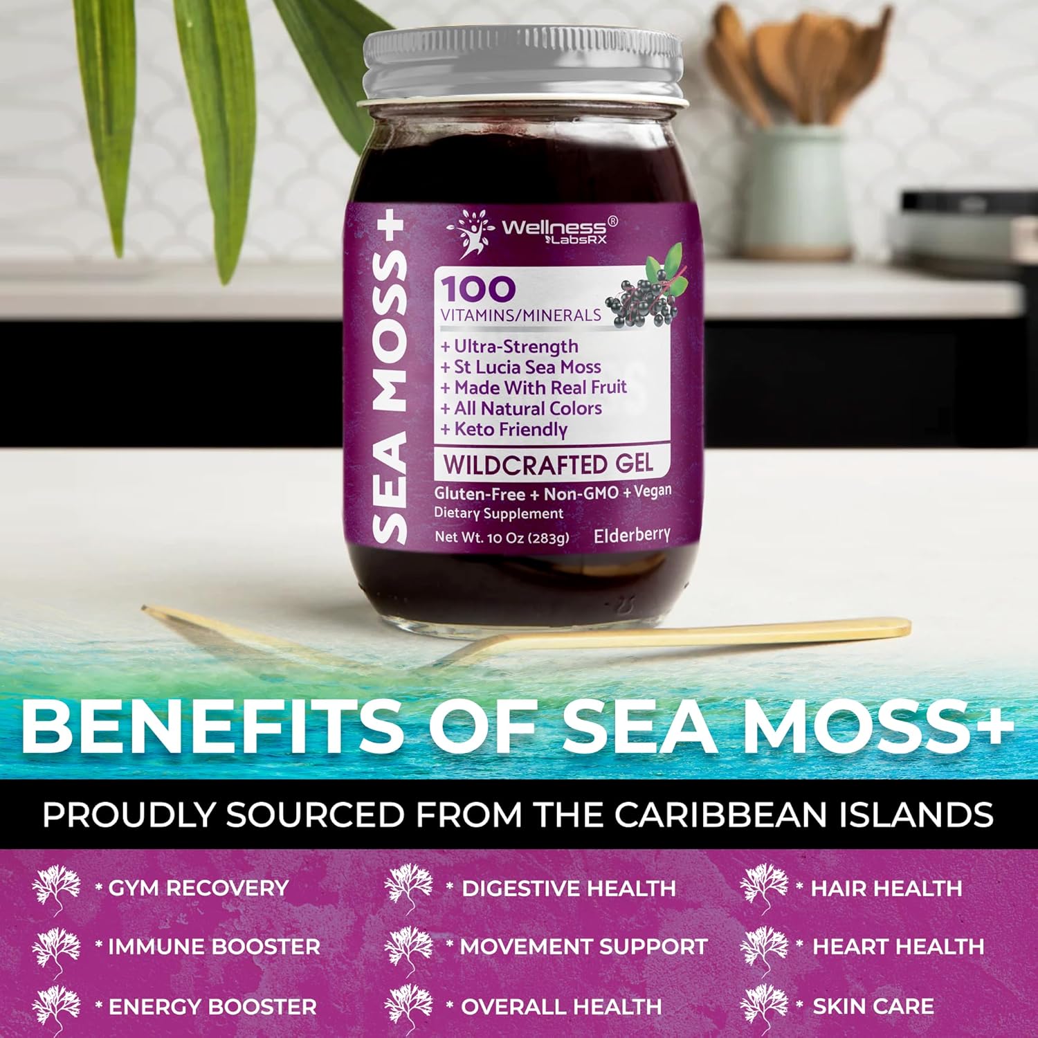 Irish Sea Moss Gel Raw - Wildcrafted Superfood Seamoss Gel - Elderberry Flavor, Vitamin and Mineral-Rich from Pristine Caribbean Waters, Immune and Digestive Health Support - 10 oz.