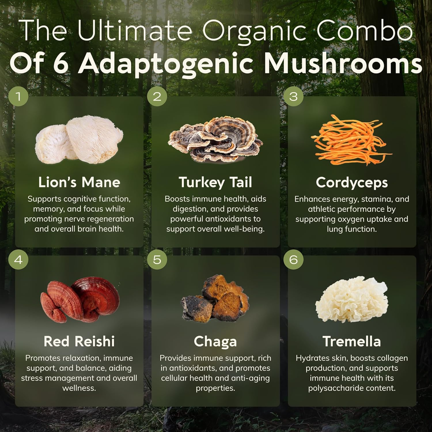 Organic Super Six Mushroom Blend Capsules Supplement (90) | Fruiting Body Extract Complex | Lions Mane, Turkey Tail, Cordyceps, Reishi, Chaga & Tremella | 35% Beta-D Glucans | Overall Wellness Support