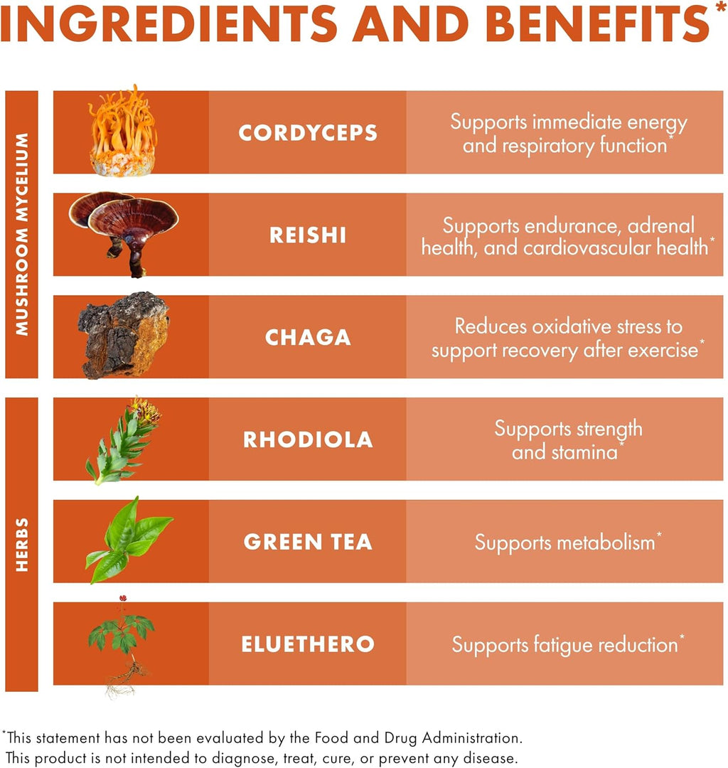 Host Defense MycoBotanicals Energy* Capsules - Energy & Respiratory Support Supplement - Herbal Green Tea Capsules - Respiratory Supplement with Cordyceps, Reishi & Chaga - 60 Capsules (30 Servings)*