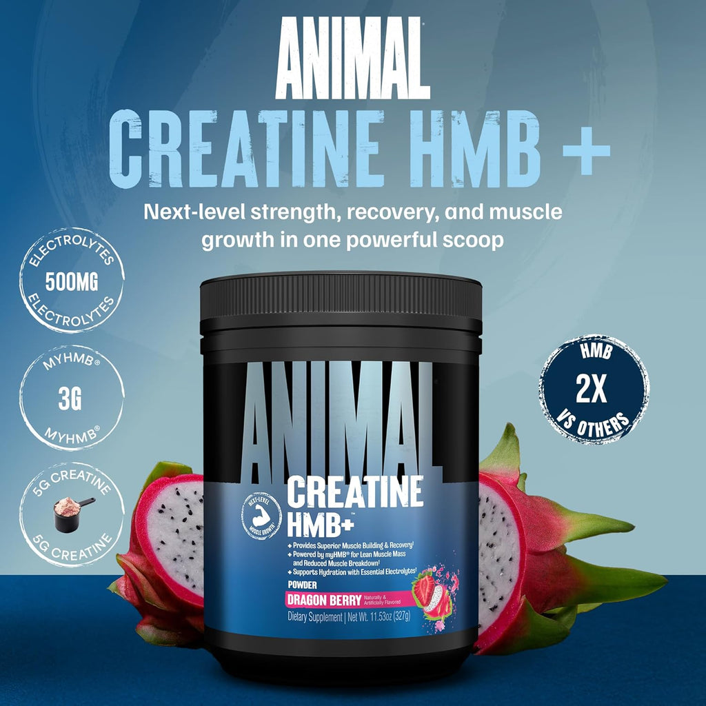 Animal Creatine HMB Powder – 5g Creatine + 3g myHMB with Electrolytes for Recovery & Daily Energy – Dragon Berry Flavor, 30 Servings