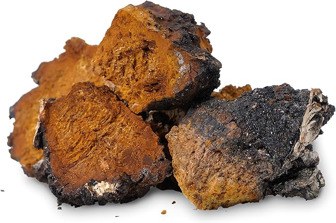 Addictive Wellness Chaga Mushroom Extract Powder – Dual-Extracted Full-Spectrum Adaptogen for Immune Support, Antioxidant Protection, Energy & Radiant Skin – 100% Pure, Potent & Ready-to-Drink