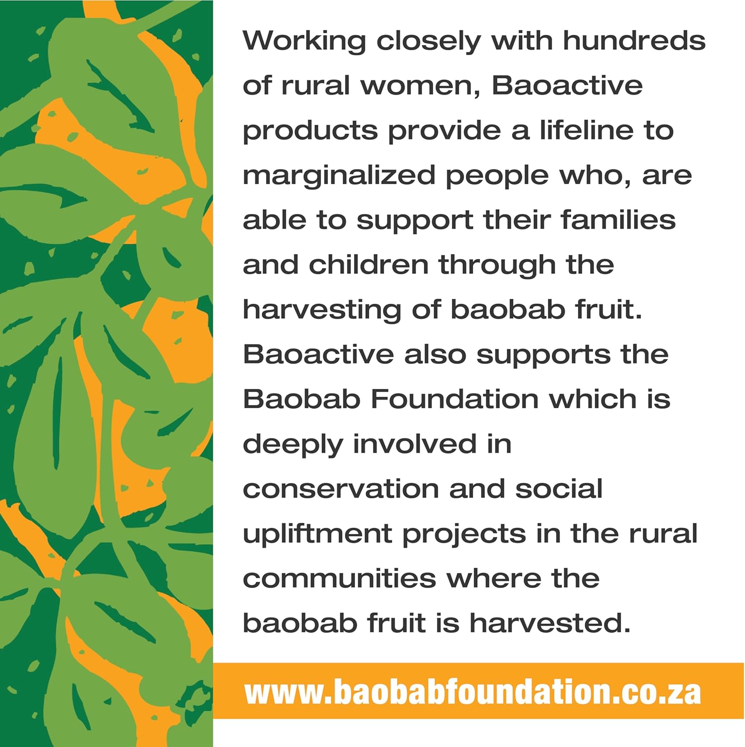 100% Baobab and Moringa Powder Superblend 300g (10.5 oz) | Direct from South Africa | USDA Organic Certified | Gut Health & Digestive Support