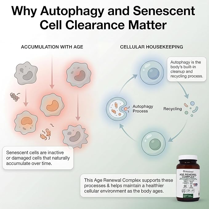 PRISTINE'S Senolytic Anti Aging & Autophagy Aid Age Renewal Complex - Senescent Cell Removal Support - Fisetin, Quercetin, Curcumin, Zinc - Gluten Free, Non-GMO, Vegan, USA Made
