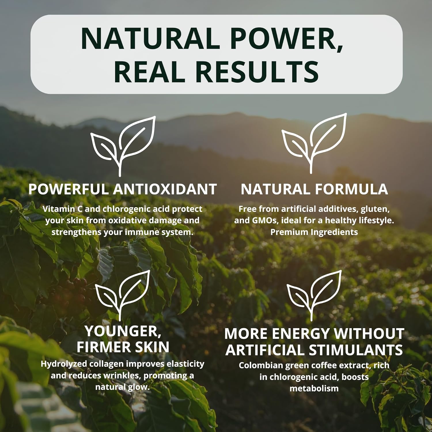Anti-Ageing with Colombian Green Coffee Extract, Hydrolyzed Collagen, and Vitamin C (60 Capsules)