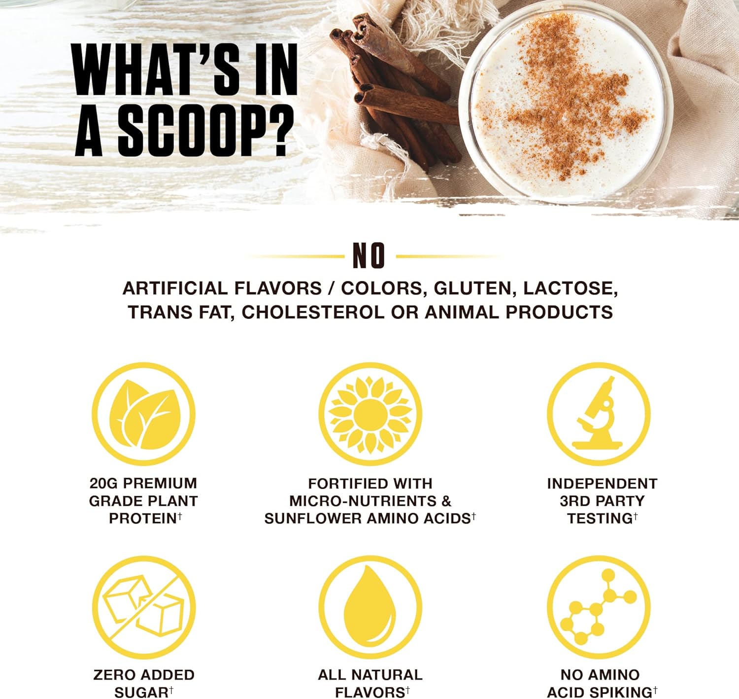 Ambrosia Planta - Premium Organic Plant-Based Protein | Vegan & Keto Friendly | Gourmet Flavors with No Bloating or Stomach Upset | Gluten & Soy Free | No Added Sugar | 14 Servings | (Cinnamon Roll)
