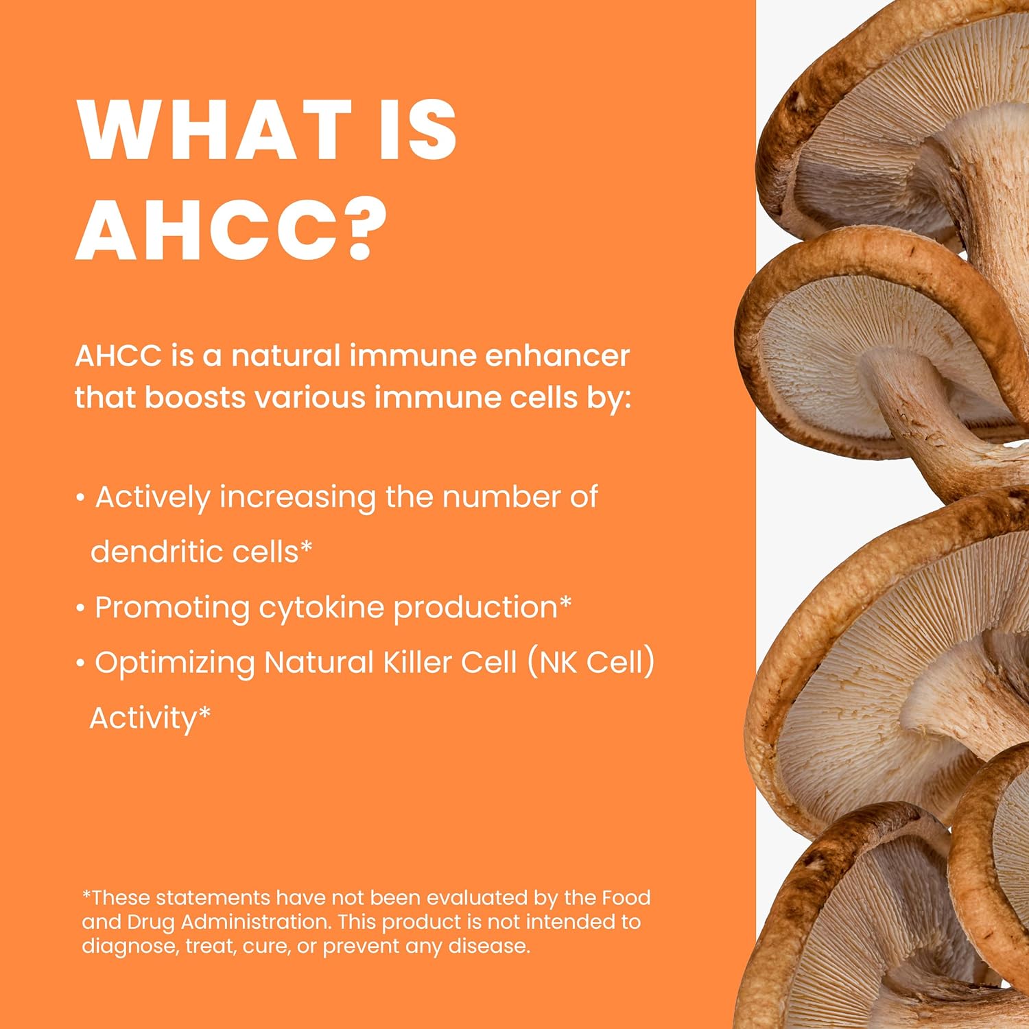 Immune-HD with AHCC Supplement for Immune Support,1500mg of AHCC Mushroom Extract + Olive Leaf & Quercetin with Bromelain, Natural Killer Cell Activity for Immune System, Liver Function, 90 Caps, RBG