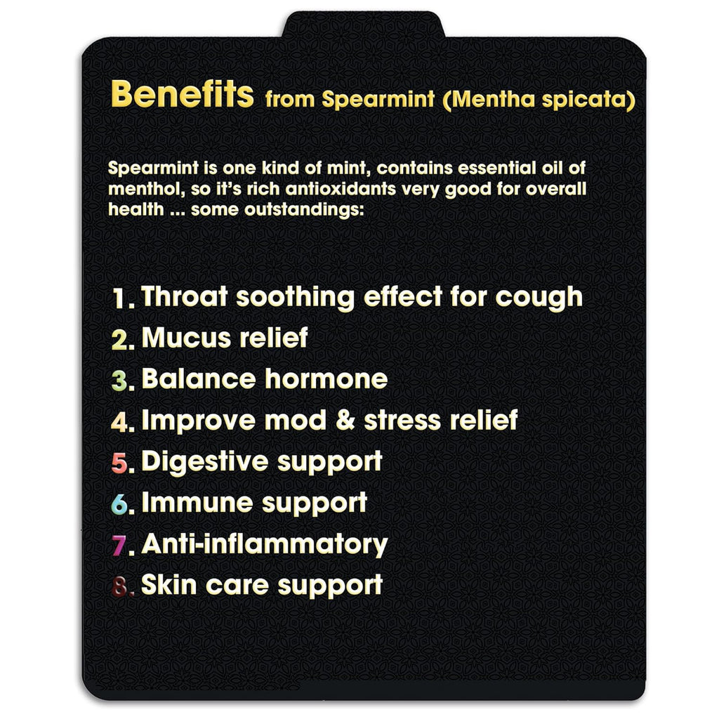Spearmint Tea Bags Pyramid with String - Sweet & Delicate of Menthol - Throat Soothing for Cough & Mucus Relief, Stress Relief, Digestion & Immune Support - Premium Spearmint Leaves