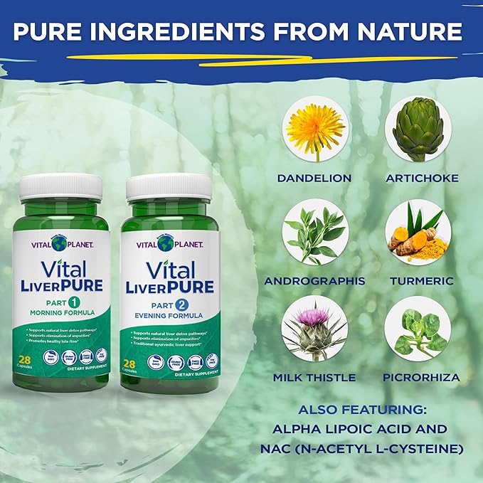 Vital Planet – Vital Liver Pure Liver Cleanse Detox & Repair with Milk Thistle, NAC Supplement N-Acetyl Cysteine, Andrographis, Dandelion, Turmeric, Alpha Lipoic Acid, 2-Part 14-Day Kit, 56 Capsules