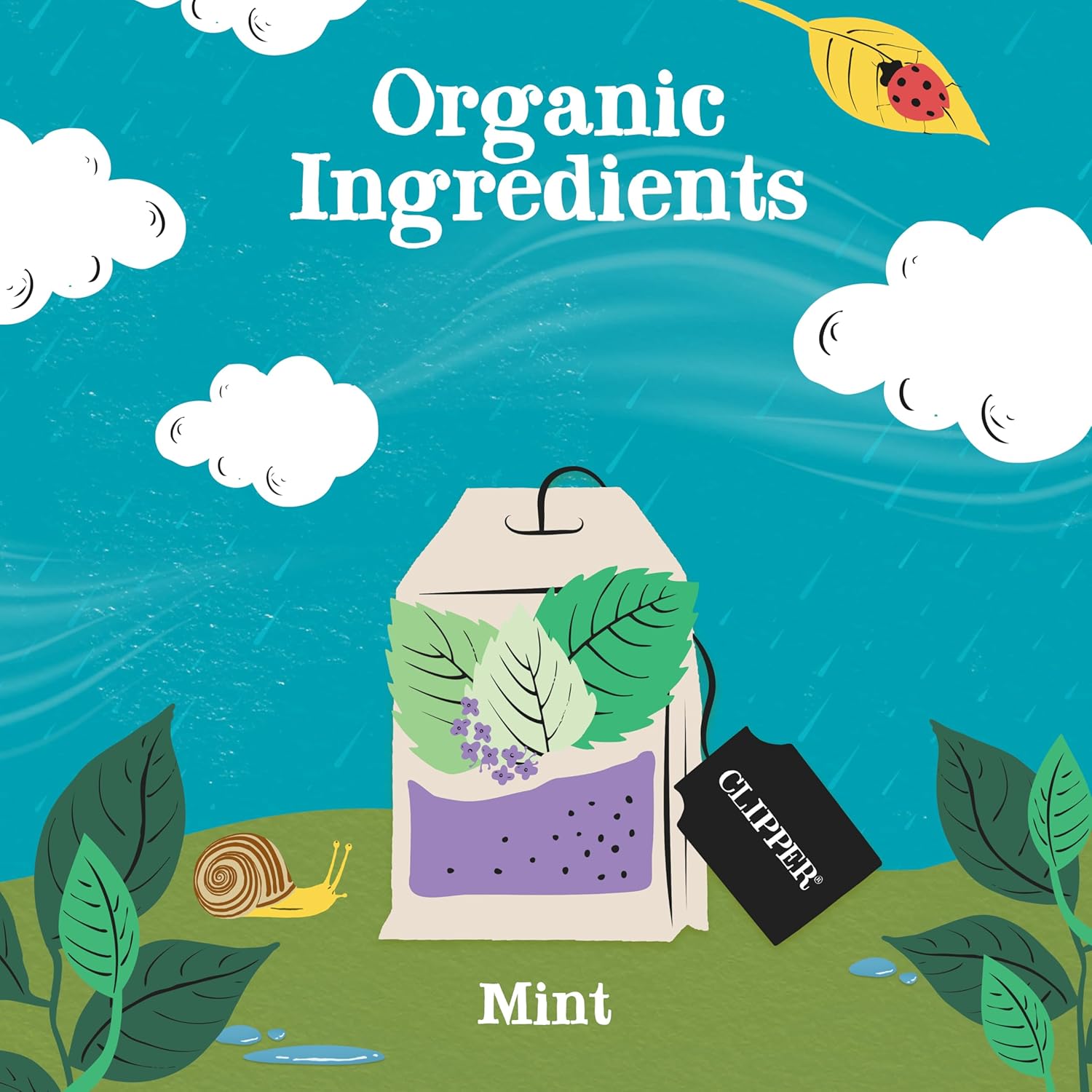 Clipper Tea Mint Herbal Teabags – Caffeine Free, USDA Organic, Great Hot or Iced – Refreshing, Natural, Fair & Delicious – 50 Tea Bags