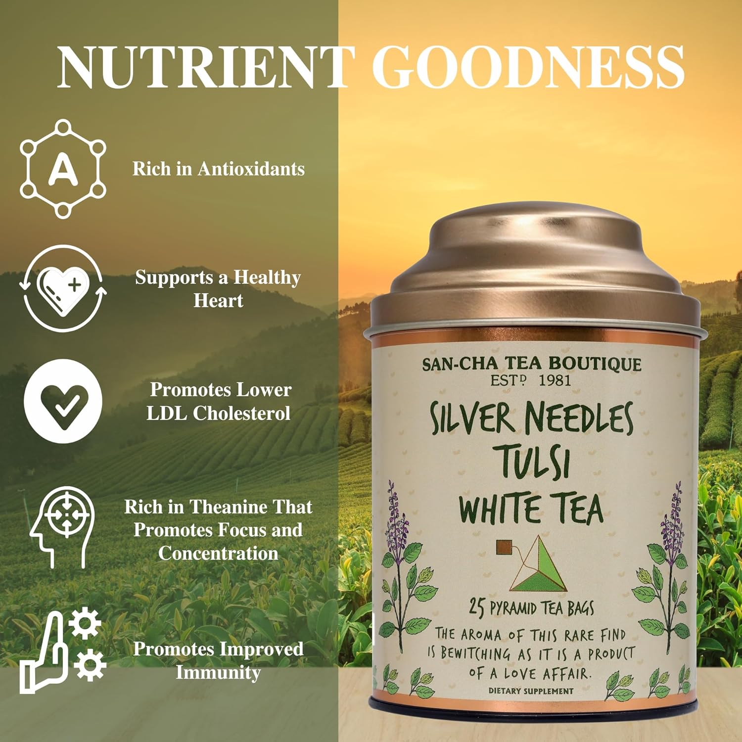 Sancha Tea Boutique Tulsi White Tea | 25 Pyramid Bags | Indian Holy Basil Leaves with Silver Needle White Tea | Rich in Antioxidants & Wellness