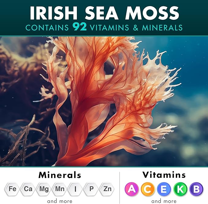 Secret Element Irish Sea Moss Black Seed Oil Ashwagandha Ginger, 20,000mg Capsules, Seamoss Black Seed Oil Ashwagandha Burdock Root, All in One Supplement, 120 Capsules, Pack of 2