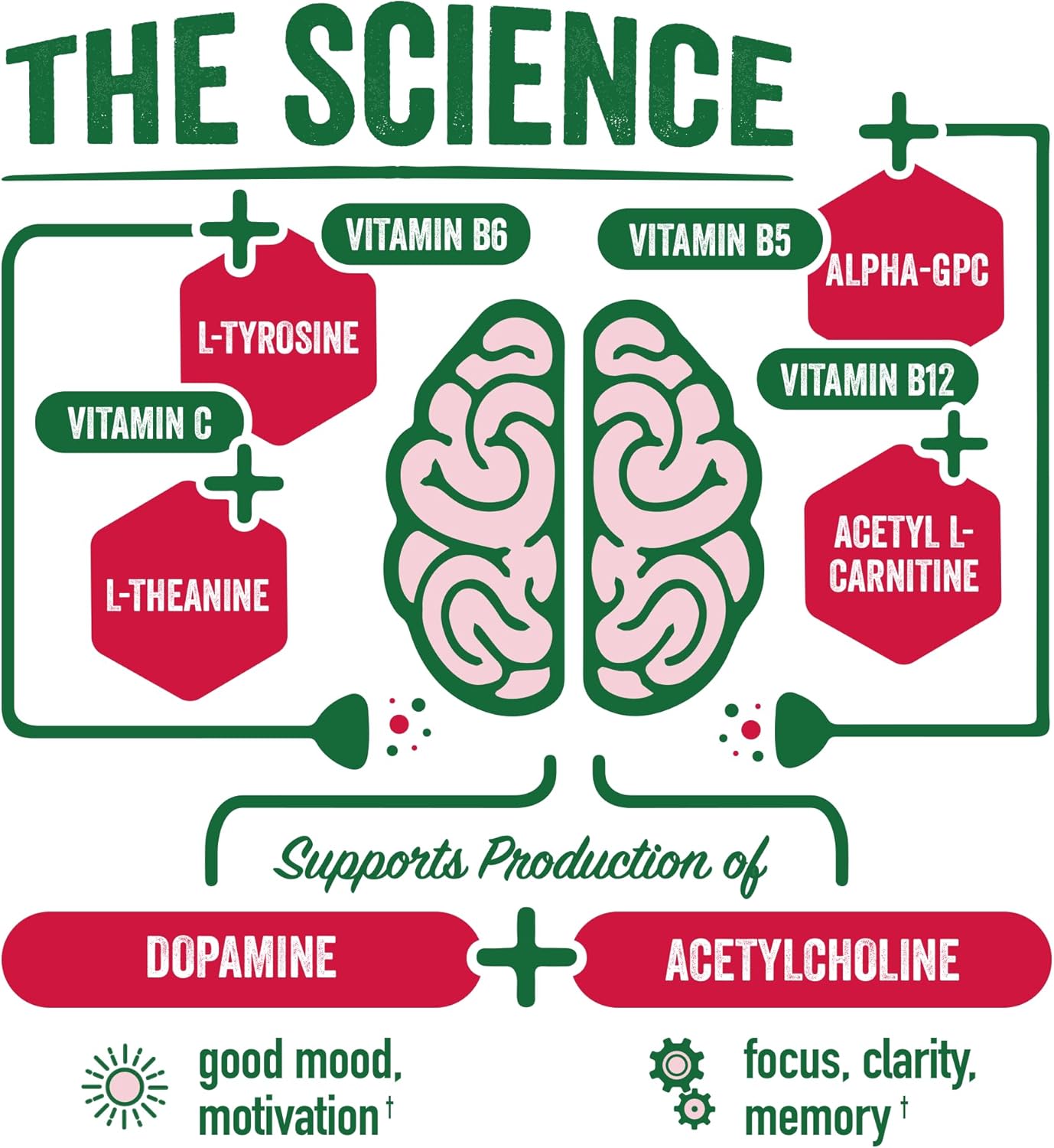 BrainJuice Brain and Immune Support Shot, Gluten Free Supplement Shots for Energy, Focus, Immunity with Vitamin D, C B, Alpha GPC & Organic Ginger Root, Pomegranate Acai, 2.5 fl oz, 12 Pack
