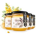 HONIGMA® Raw Acacia Honey | Exquisite Taste | 100% Pure | Unpasteurized | Unfiltered | Partially crystallized | 8.8 Fl Oz Pack of 4