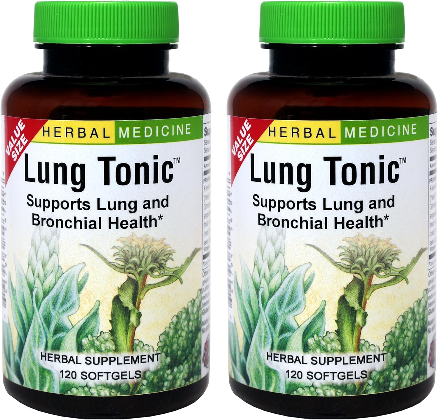 Herbs Etc. Lung Tonic - Lung Supplement for Bronchial Support - Healthy Breathing Support with Mullein, Horehound & Grindelia - 120 Softgels - 2 Pack