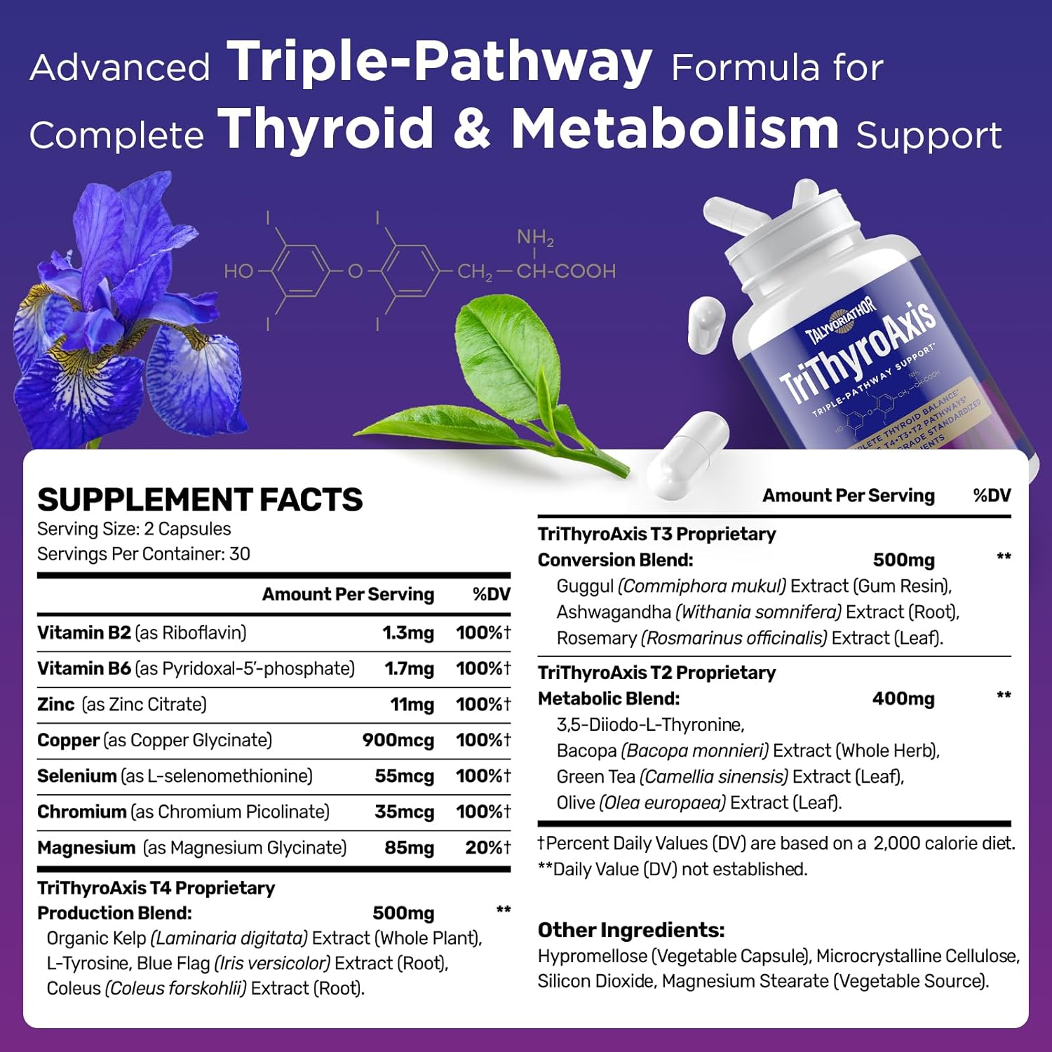Thyroid Support Supplement for Women & Men – Professional T4, T3, T2 Triple-Pathway – Metabolism & Energy – with L-Tyrosine, Selenium, Ashwagandha & Guggul Extract – Standardized Herbs – 60 Capsules