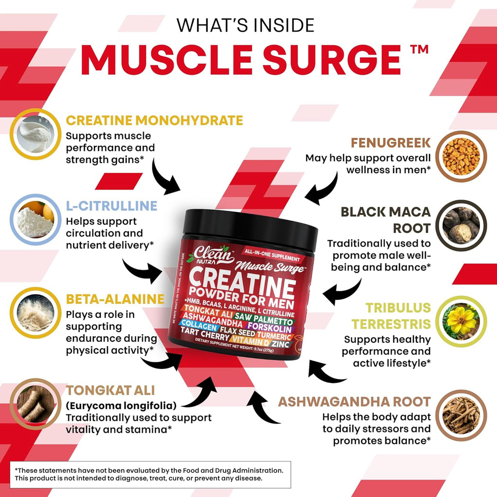 Clean Nutra Creatine Powder for Men + HMB BCAA L Arginine L Citrulline Tongkat Ali Saw Palmetto Ashwagandha Collagen Flax Seed Turmeric Preworkout Stevia Nitric Oxide L Glutamine Amino Acids