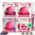 Waterdrop Hydration Cubes Mixed Berry Variety Pack, Zero Sugar Electrolyte & Vitamin Drink Mix, Flavored Water Enhancer Includes Blackberry, Blackcurrant, Microlyte Berry, Ice Tea Raspberry, 48 Count