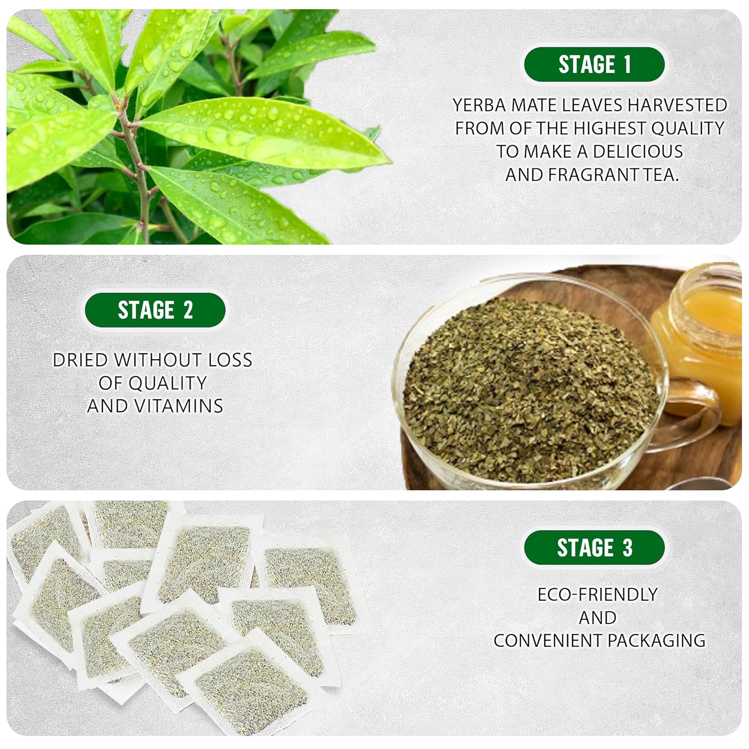 Yerba Mate Tea - Green Cut & Sifted - Unsmoked Energy Boost - 50 Tea Bags - Packed with Nutrients - Your Perfect Coffee Replacement