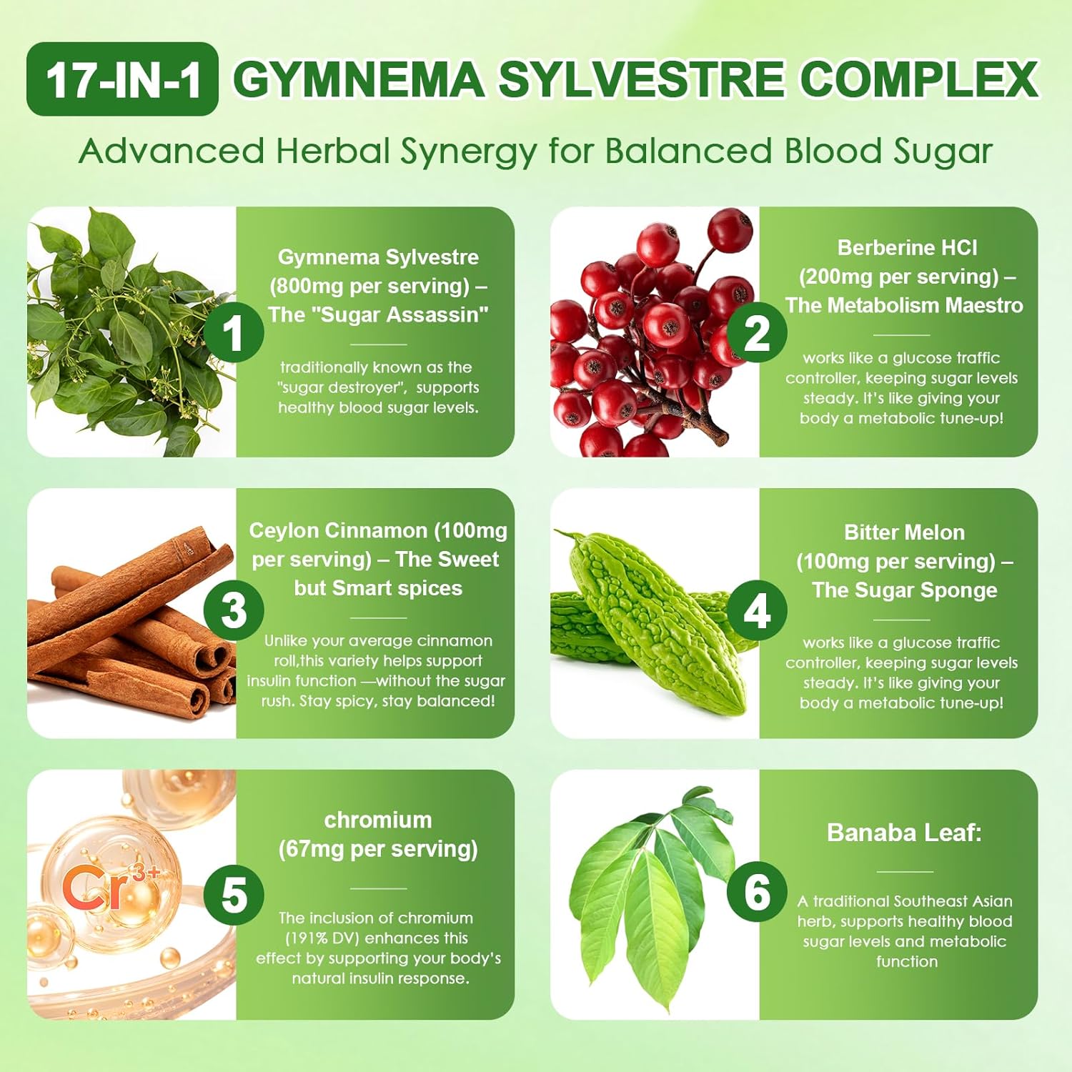 Gymnema Sylvestre Supplement 2 Pack (120 Capsules Each) | 17-in-1 Herbal Blend with Cinnamon, Berberine HCI, Bitter Melon & Chromium – Supports Metabolic Wellness & Energy Production