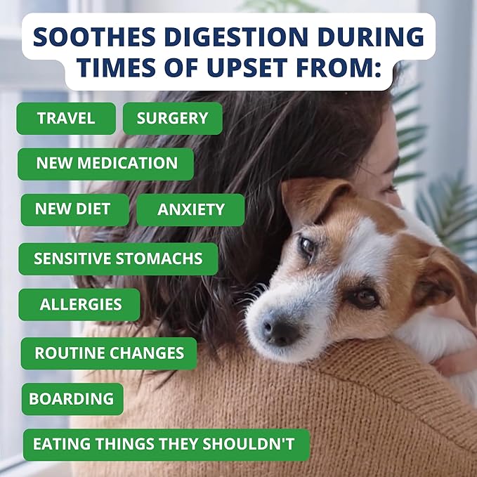 Under The Weather Easy to Digest Bland Diet for Sick Dogs | Contains Electrolytes | Gluten Free, All Natural, Freeze Dried 100% Human Grade Meats | 6 Pack - Hamburger, Rice & Sweet Potato