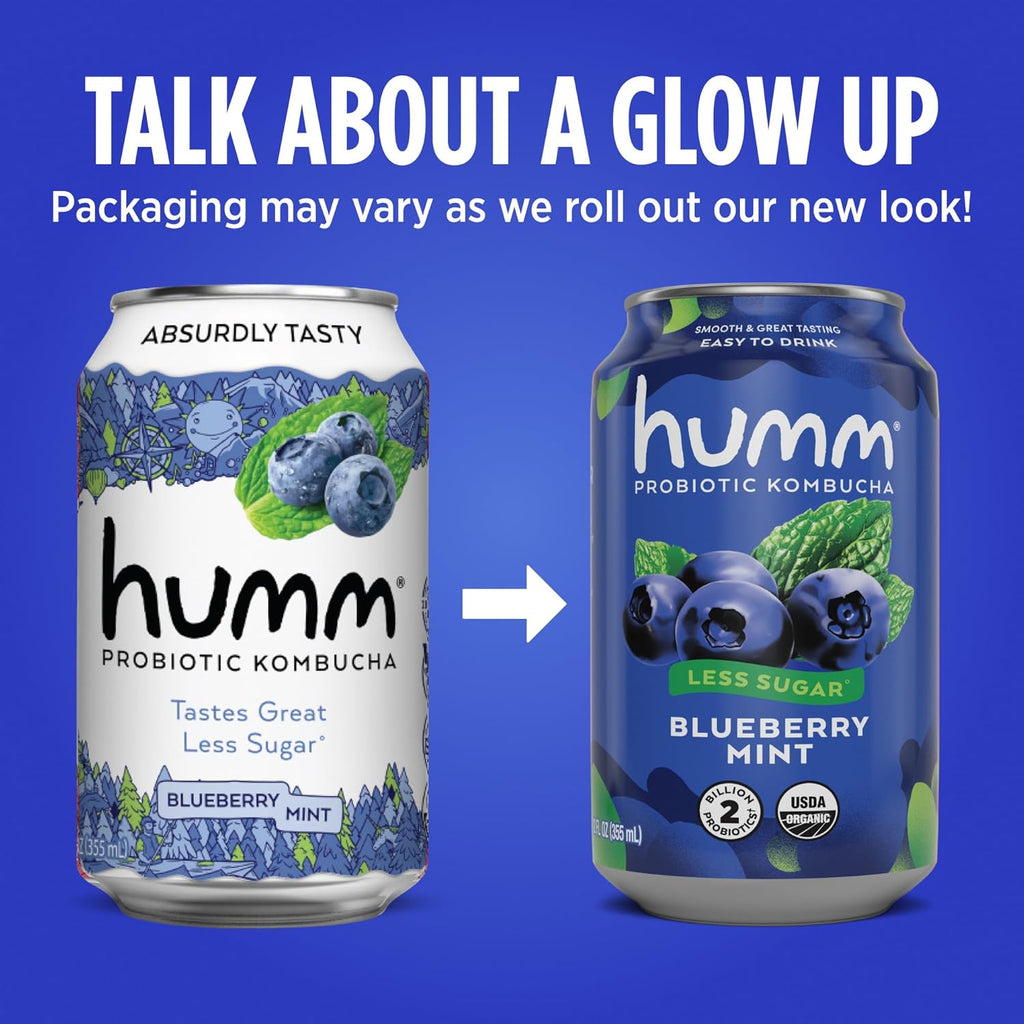 Humm Kombucha Blueberry Mint, Organic, Vegan & GMO Free (12 Pack)